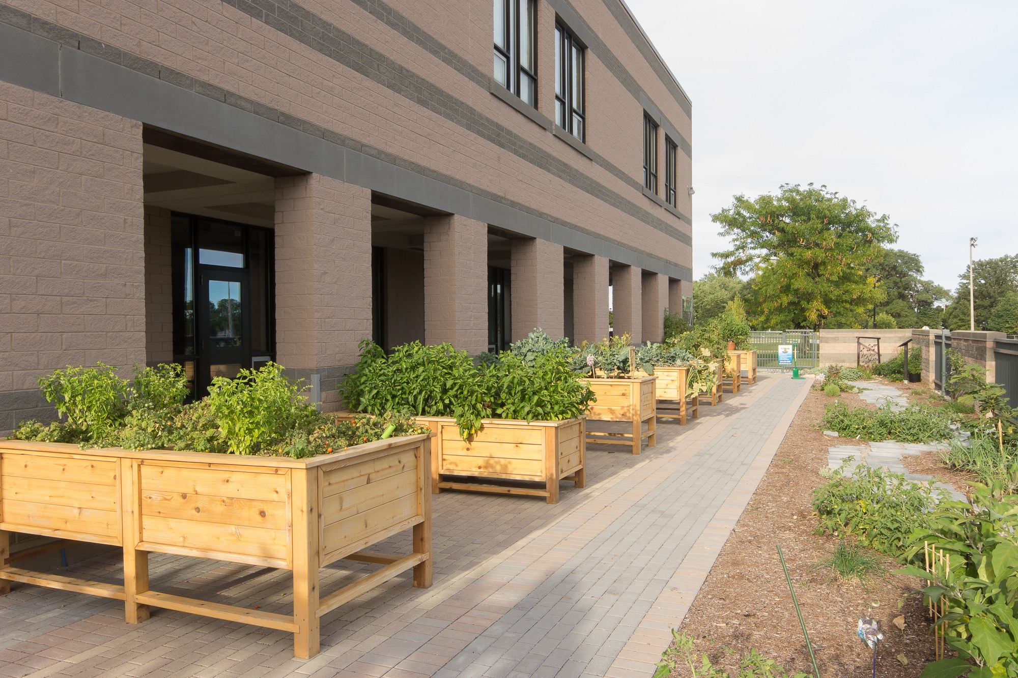 A building with a modern design features raised wooden planters along a paved walkway, filled with lush green plants and flowers.