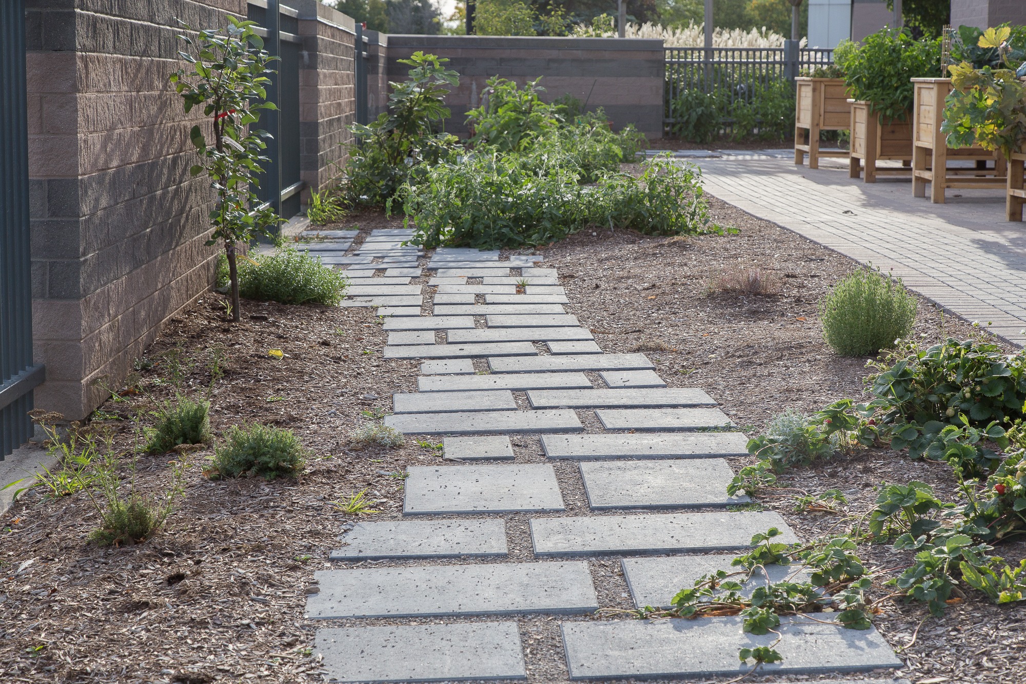 Stone path leads through a garden with various plants and shrubs, bordered by wooden planters and a stone wall on the side.