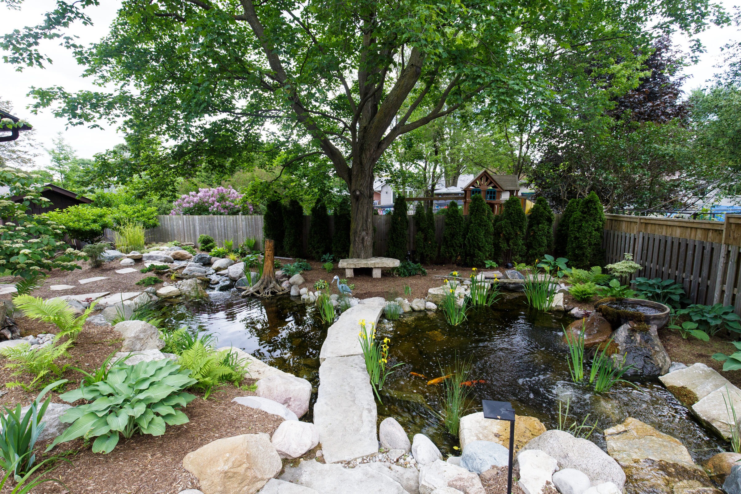A tranquil garden with a pond, stepping stones, lush greenery, and a treehouse. Fenced surroundings enhance the peaceful, natural setting.