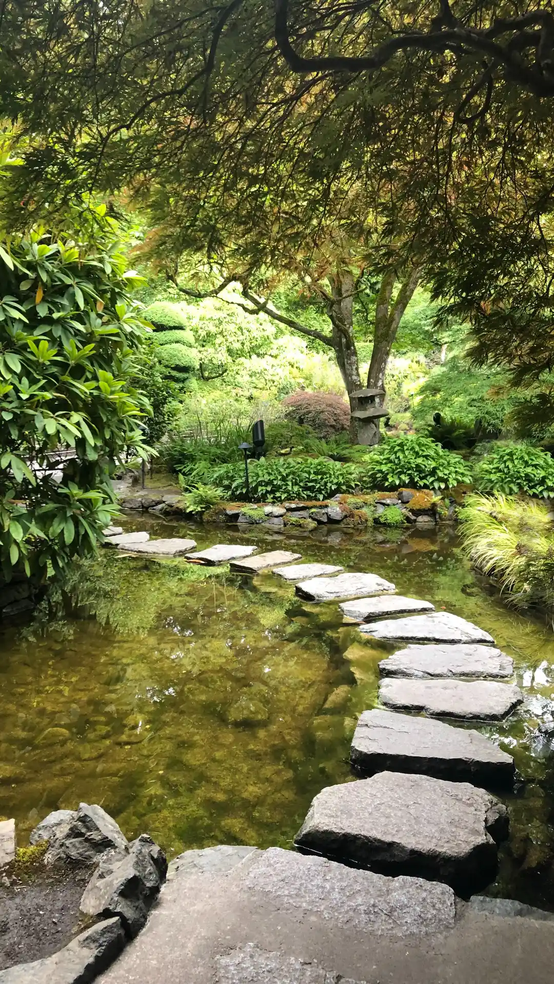 About Landscape Enhancements About Landscape Enhancements